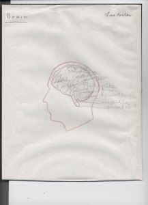 brain 1973 brain 1973