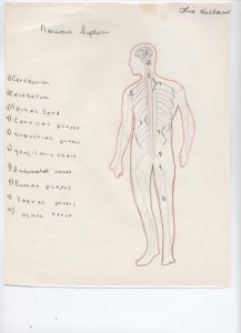 nervous system 1973 nervous system 1973